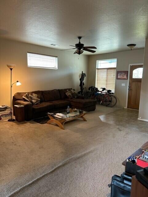 Living Room from Kitchen