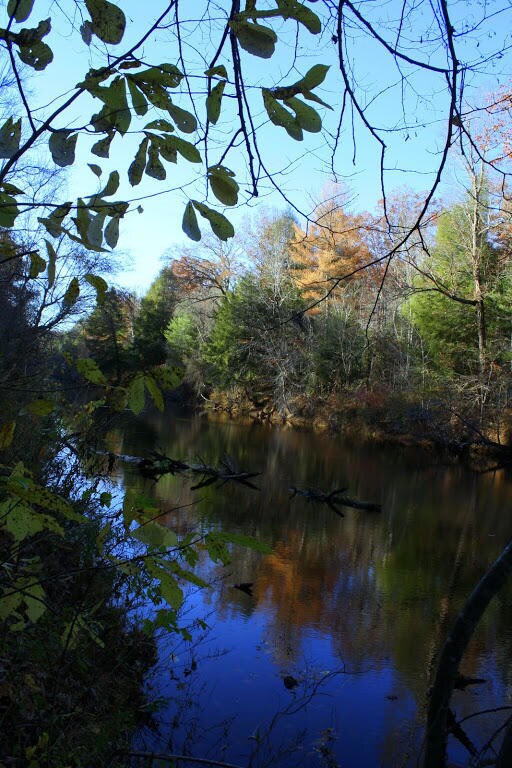 View of Daddy's Creek