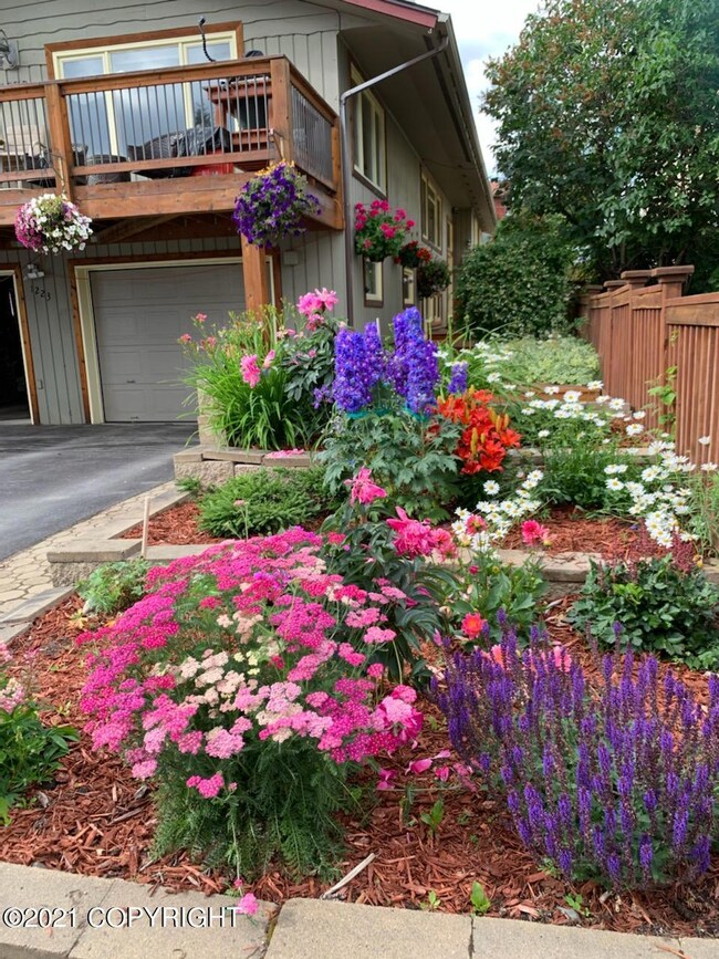 Curb Appeal