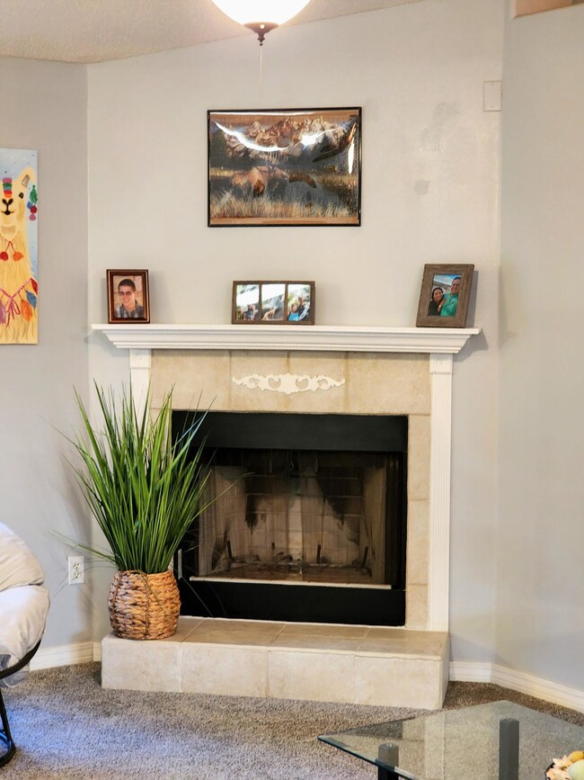 Fireplace Wood Burning