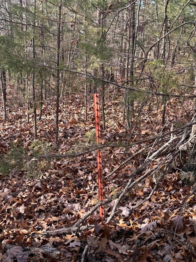 North Stake