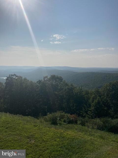 51 Mohican Ct, Hazle Township, PA 18202 - photo 6