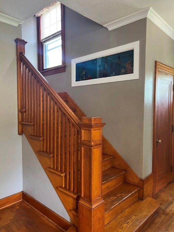 114 W 4th St, Emporium, PA 15834 - photo 4