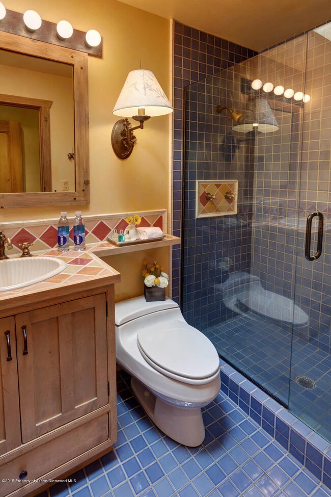 205 E Durant Ave unit 3 B, Aspen, CO 81611 - photo 7