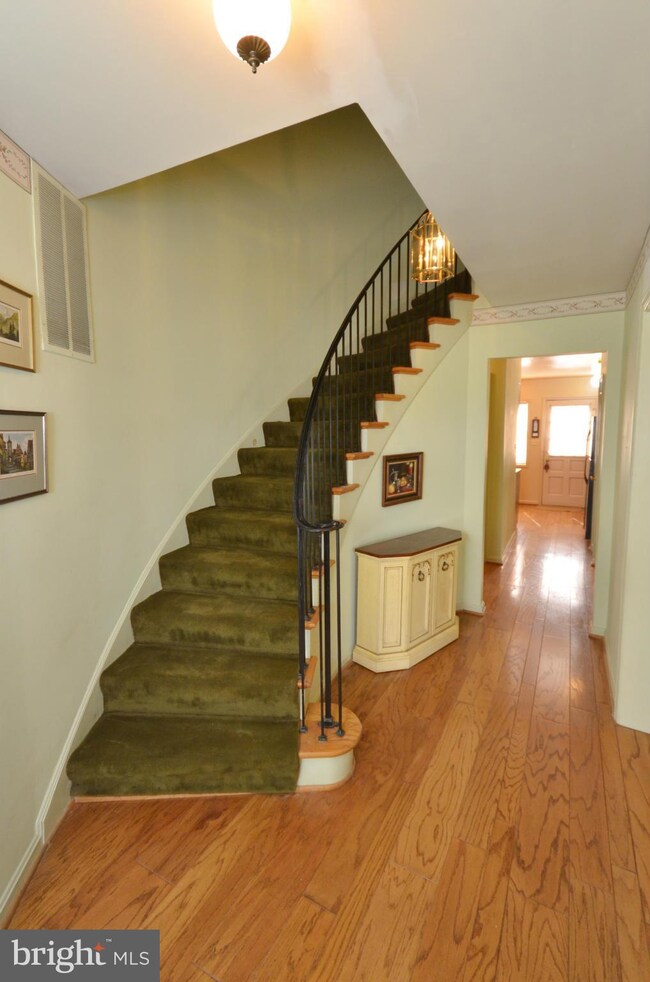 8403 Forrester Blvd, Springfield, VA 22152 - photo 3