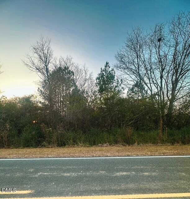 1037 Reed Rd, Castalia, NC 27816 - photo 5