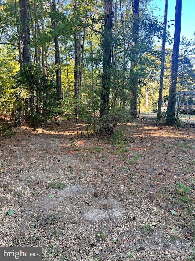 26 Harbor Ct, Montross, VA 22520 - photo 2