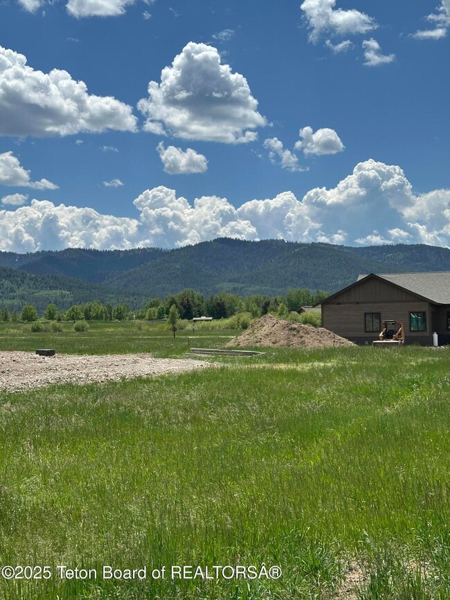 National forest views