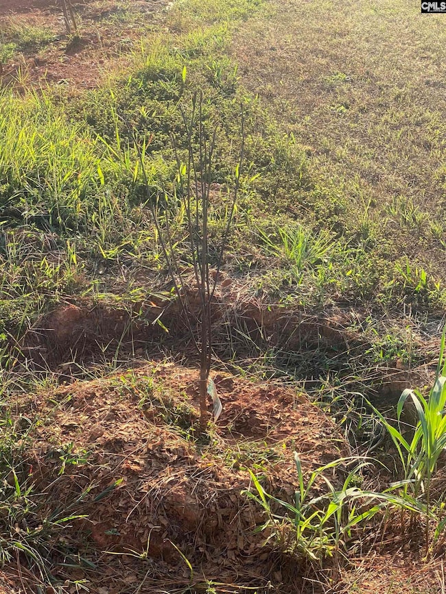 1253 Sam Koon Rd, Chapin, SC 29036 - photo 7