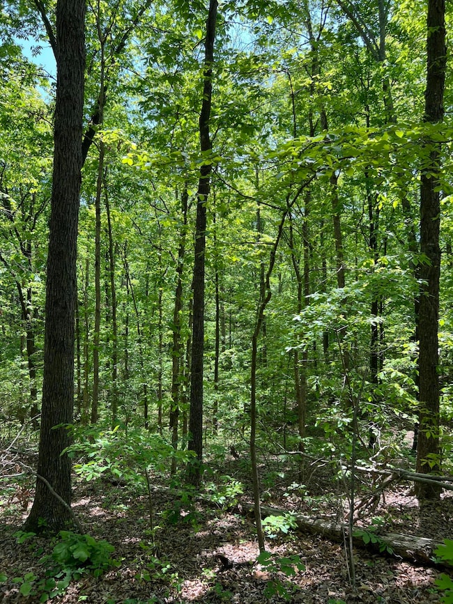 0 Hwy 163 unit 1512095, Calhoun, TN 37309 - photo 5