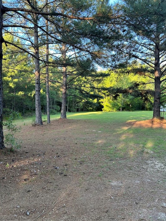 145 Adon St, Reidsville, GA 30453 - photo 6