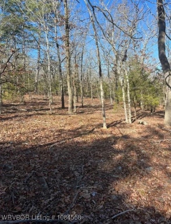 TBD Rural Latimer, Wilburton, OK 74578 - photo 4