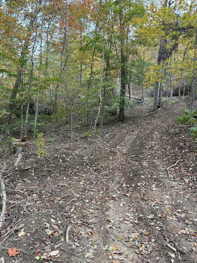 Pine Grove Ch Rd, Vanceburg, KY 41179 - photo 4