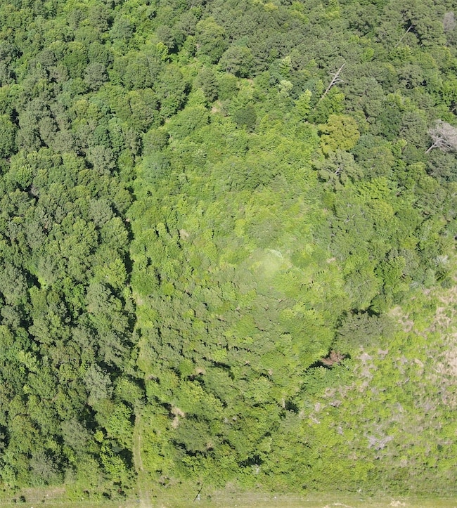 321 Fuller Rd, Minden, LA 71055 - photo 4