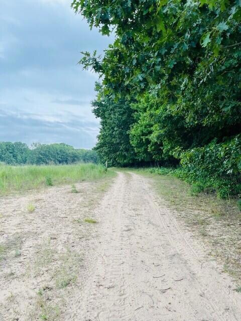 264 S 152nd Ave unit 20 Acres Vacant La, Shelby, MI 49455 - photo 6