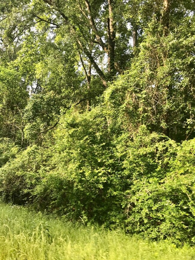 0 Fm 1475 unit 62436, Huntington, TX 75949 - photo 6