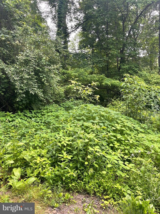 Sect A 16-23 Dogwod Trail, Harpers Ferry, WV 25425 - photo 3