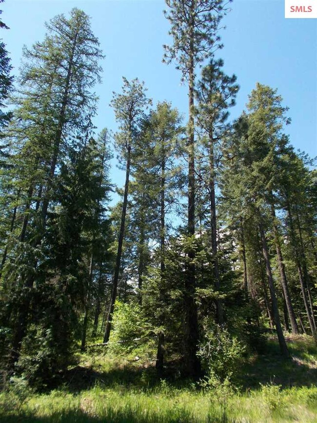 669 Forest Knolls Dr, Sandpoint, ID 83864 - photo 6