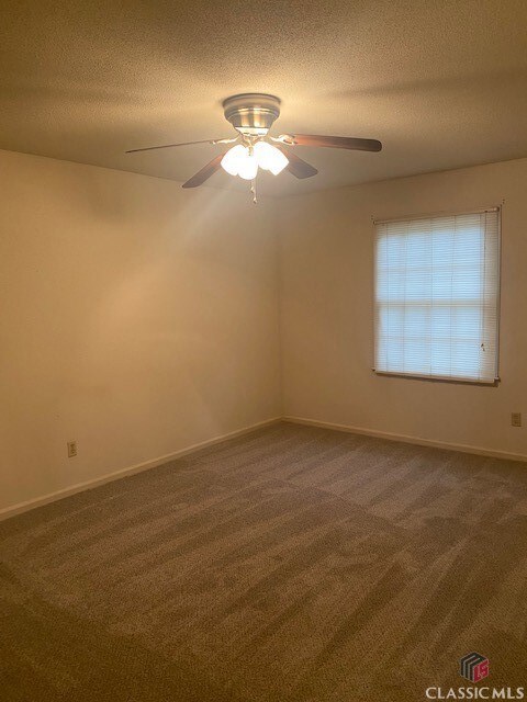 Bedroom 2 - New Carpet