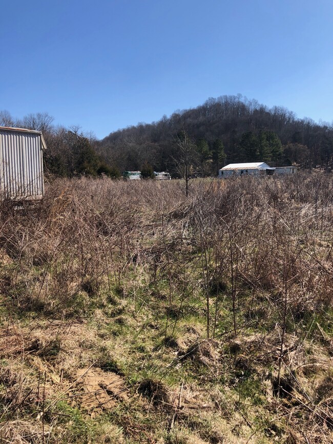 327 Field Dr, Linden, TN 37096 - photo 6