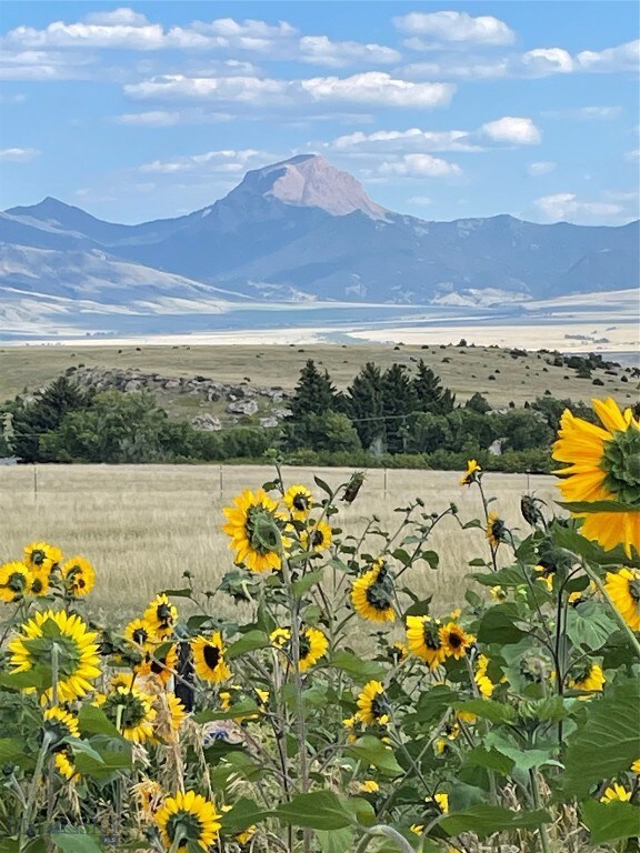 333 Shining Mountains Loop Rd, Ennis, MT 59729 - photo 2