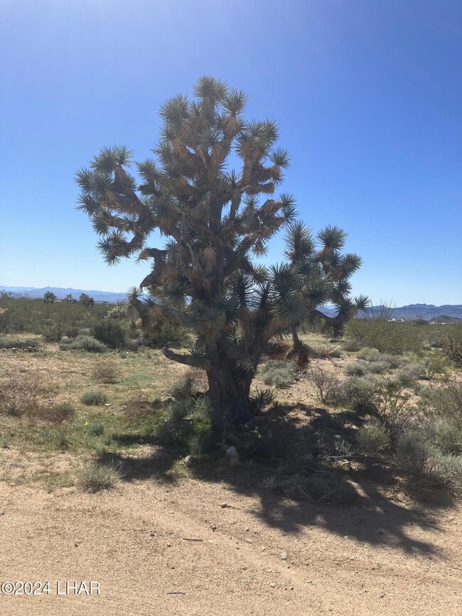 Pic 4