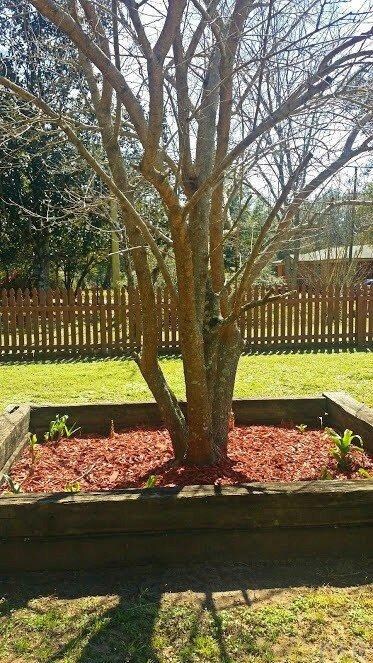 8999 N Eight Mile Creek Rd, Pensacola, FL 32534 - photo 3