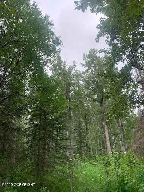 image3 (1)