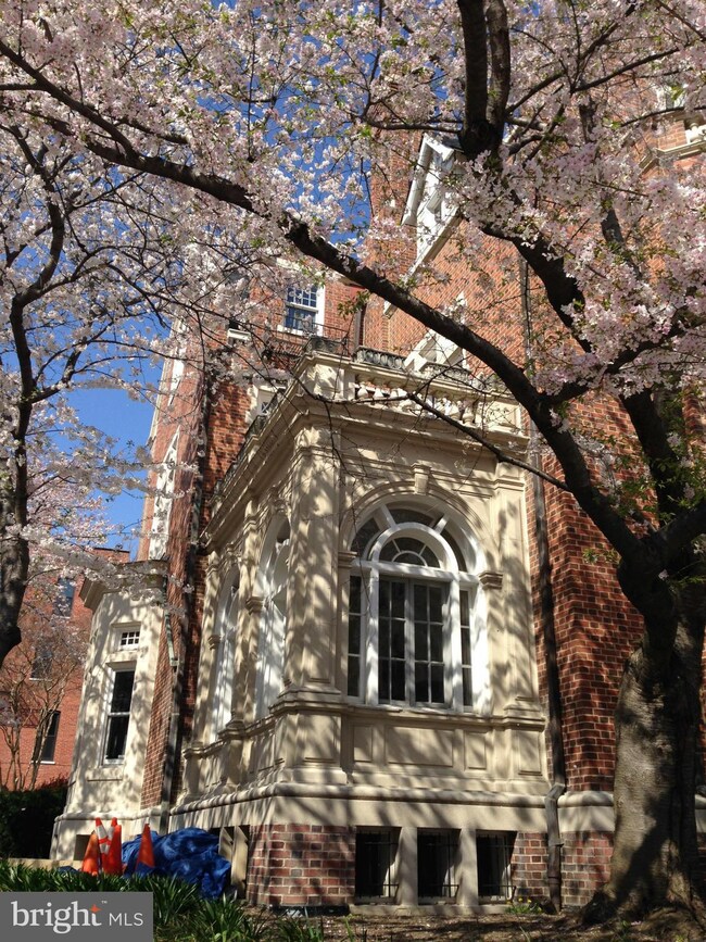 2001 19th St NW unit 8, Washington, DC 20009 - photo 4