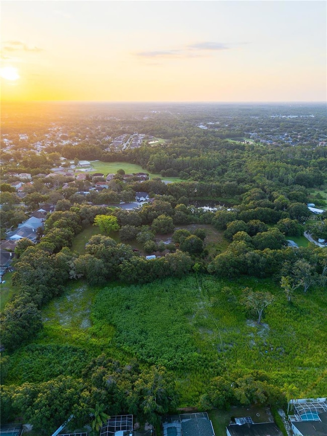 6327 Gant Rd, Tampa, FL 33625 - photo 3