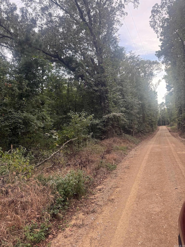 TBD Williams Cutoff Rd, Bismarck, AR 71929 - photo 3