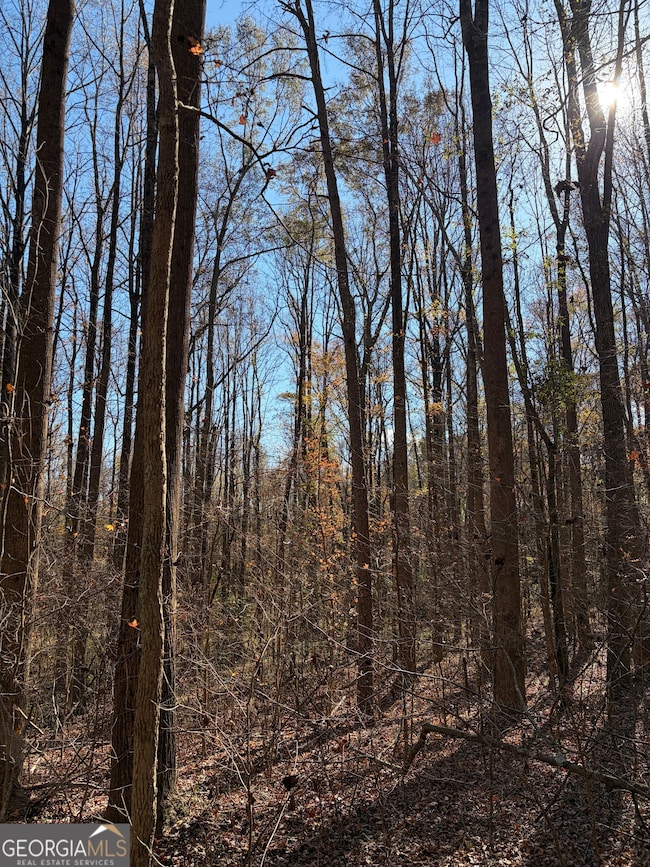 390 Beck Farm Rd, Commerce, GA 30529 - photo 6