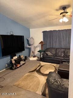 living room cont