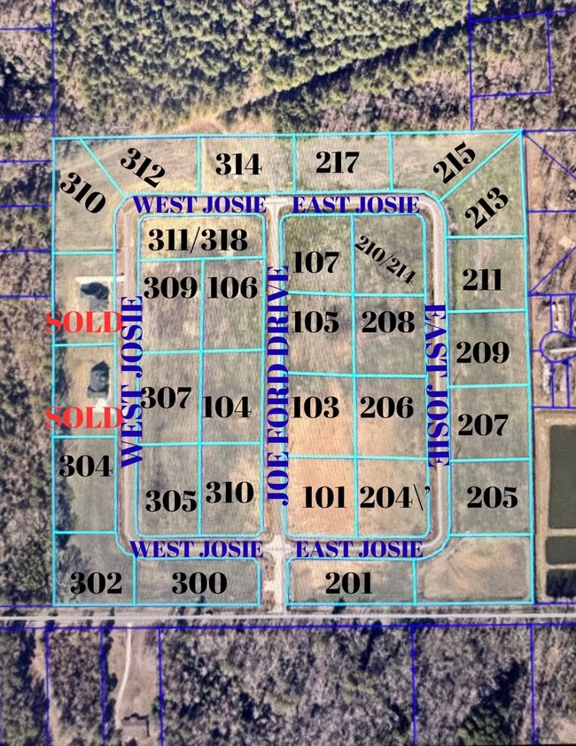 101 Joe Ford Ln, Haughton, LA 71037 - photo 4