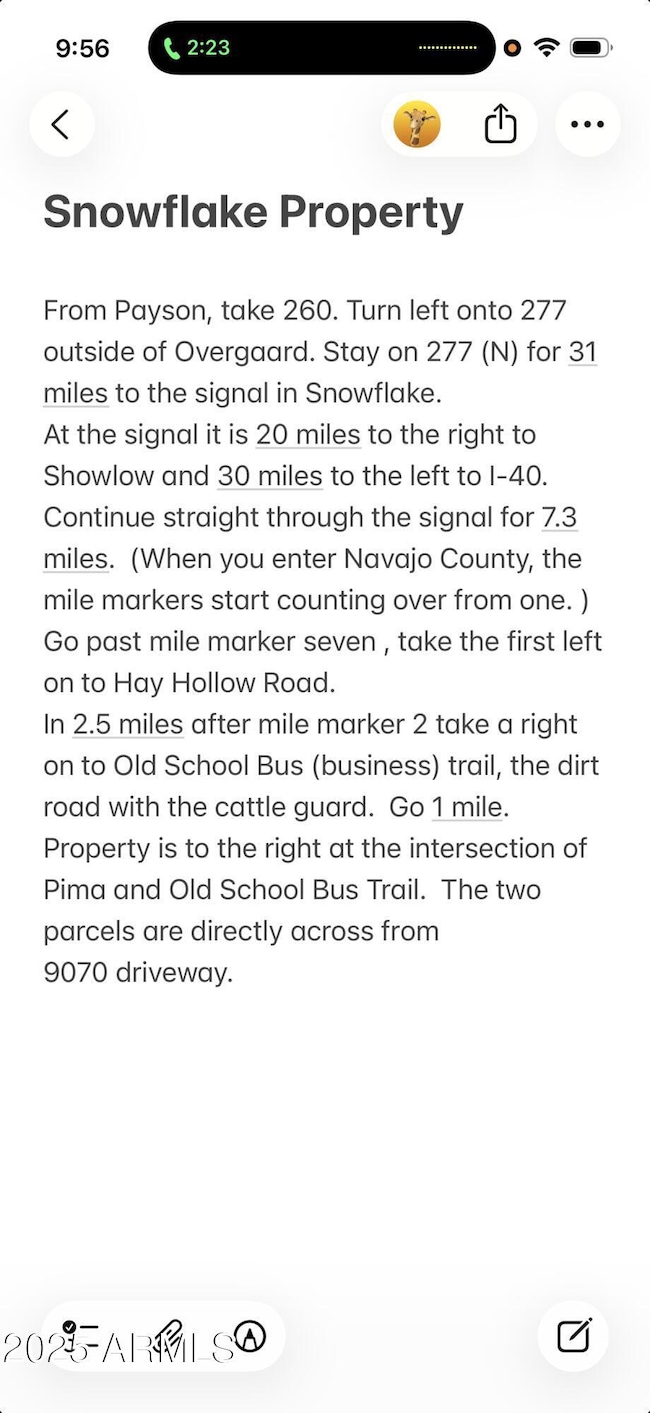 9049 Old School Bus Trail, Snowflake, AZ 85937 - photo 3