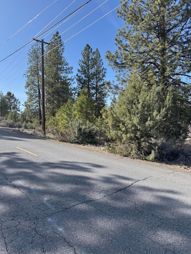 19734 Buck Canyon Rd, Bend, OR 97702 - photo 3