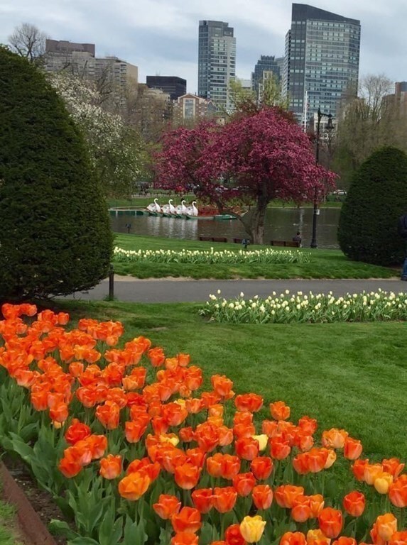 Ritz-Carlton Residences Tower 2 unit 25C, Boston, MA 02111 - photo 6