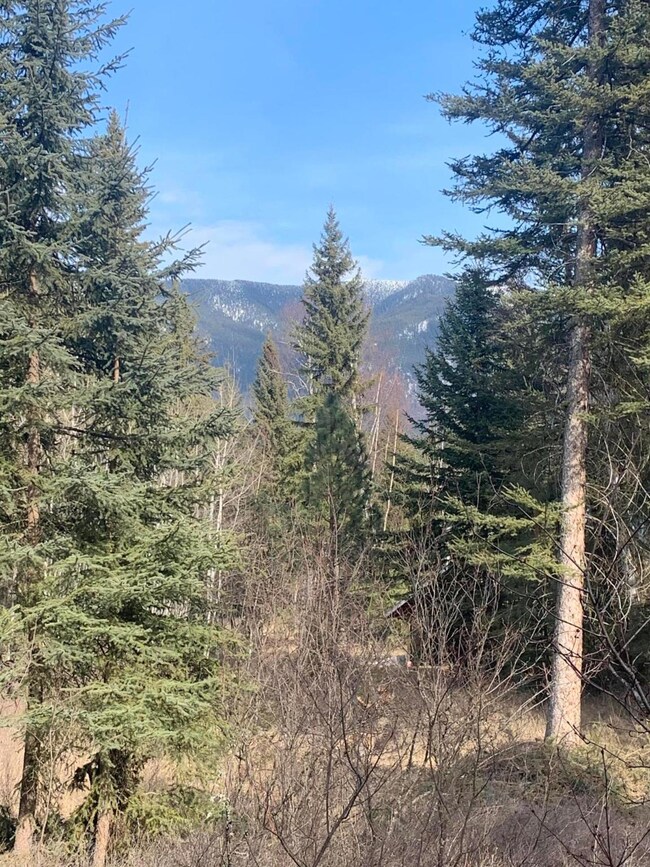 249 Elk Park Rd, Columbia Falls, MT 59912 - photo 2