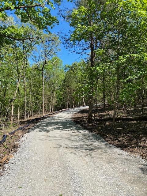 Tbd Bluff View Rd, White River Township, MO 65747 - photo 3