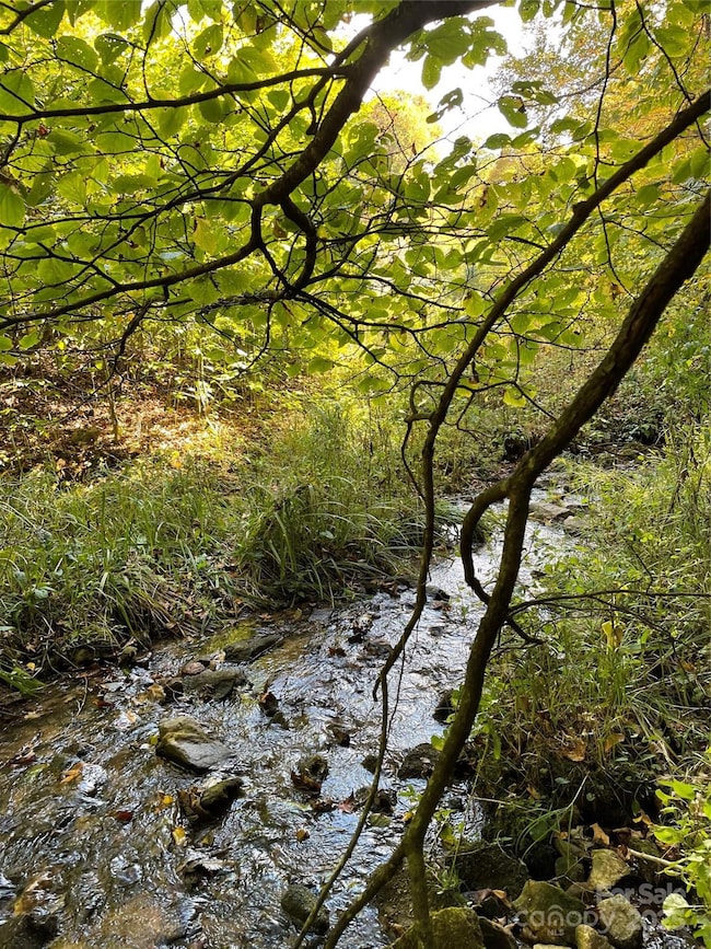 1201 Simms Fork Rd, Burnsville, NC 28714 - photo 4