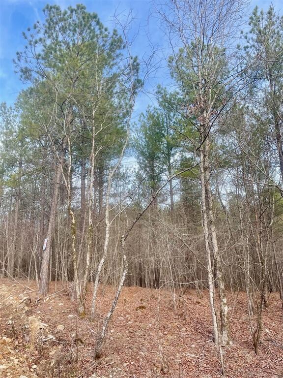 View of mother earth's splendor