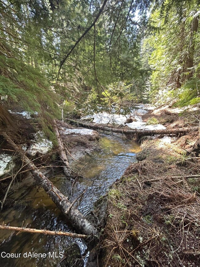 creek