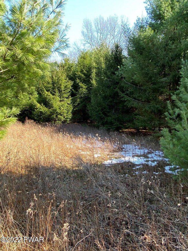 0 Long Ridge Rd, Hawley, PA 18428 - photo 4