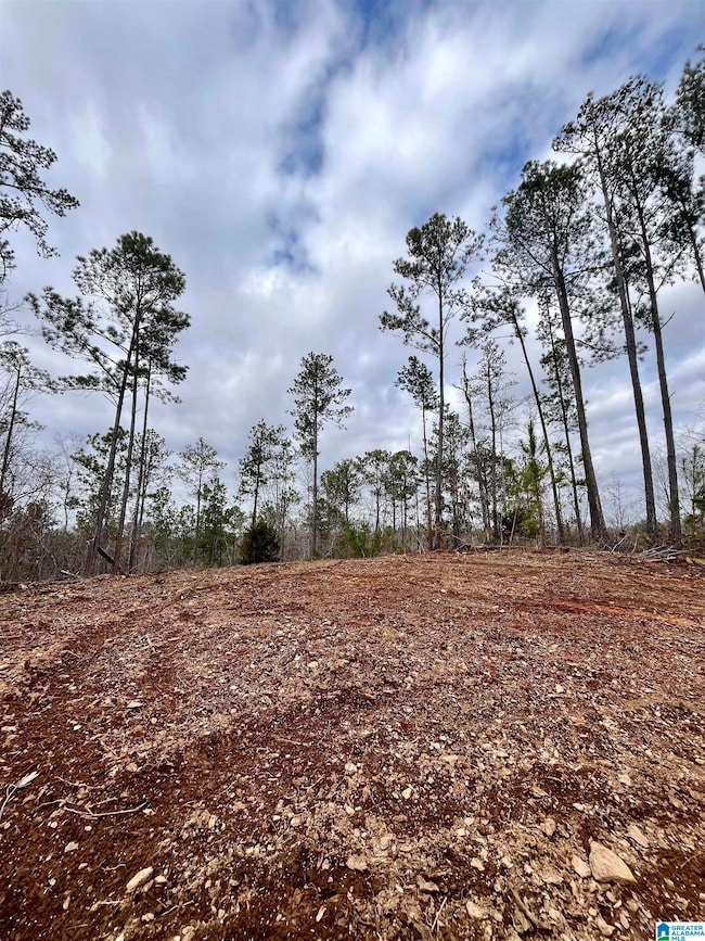 0 County Road 33 unit 21415403, Wedowee, AL 36278 - photo 6