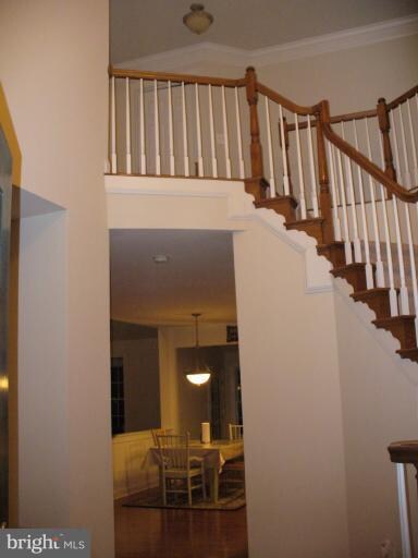 42852 Rectors Chase Way, Ashburn, VA 20148 - photo 7