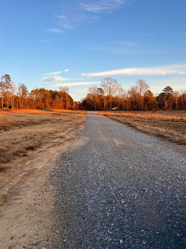 Lot 8 1 ac Patton Creek Rd, Waynesboro, MS 39367 - photo 5
