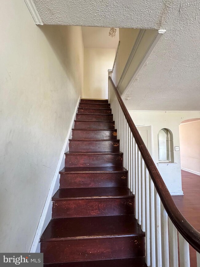 6829 Horrocks St, Philadelphia, PA 19149 - photo 7