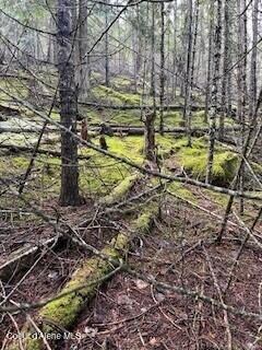 Granite Creek