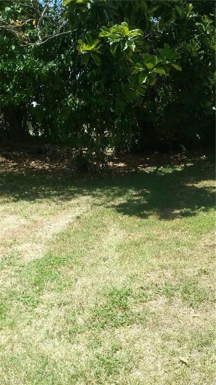 1025 Sperling Ave, Naples, FL 34103 - photo 3