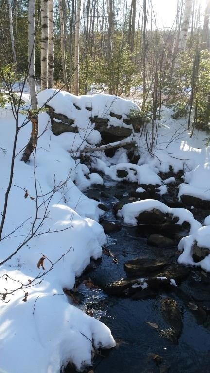 Stone Bridge in Winter
